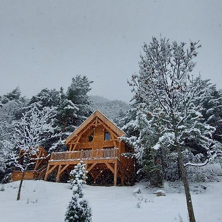 Chalet L'Empreinte Saint-Étienne-de-Tinée Εξωτερικό φωτογραφία