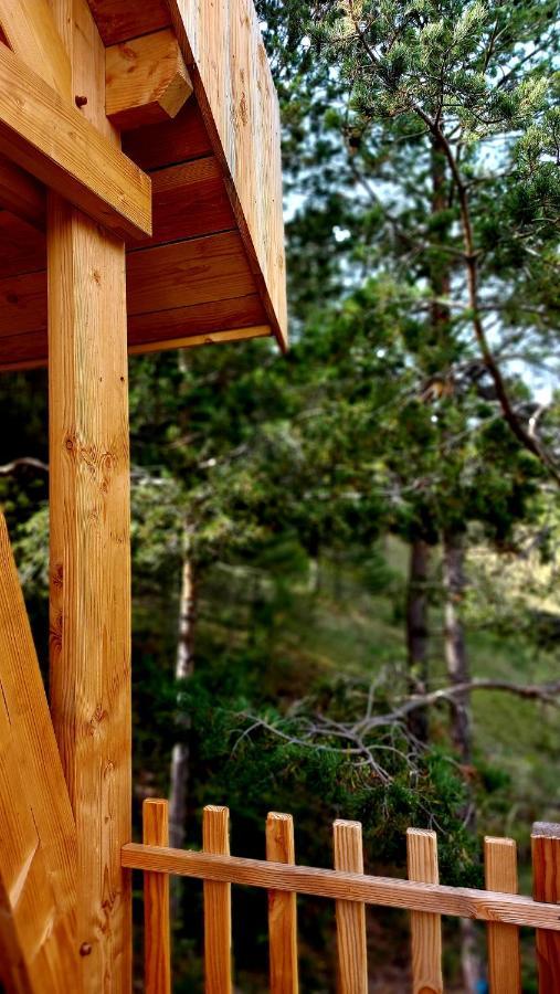 Chalet L'Empreinte Saint-Étienne-de-Tinée Εξωτερικό φωτογραφία